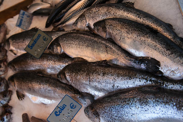 Determinationing Technology in Fish Quality and Seafood
